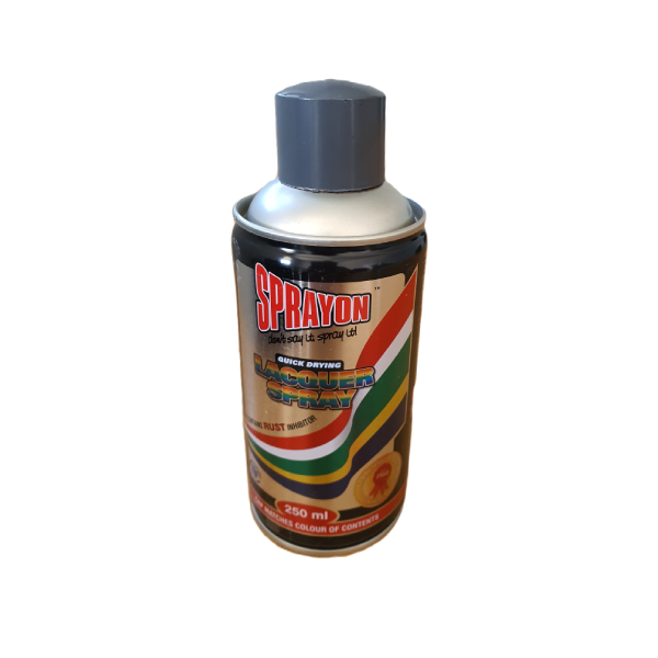 SPRAYON PAINT GREY MIST 250ML
