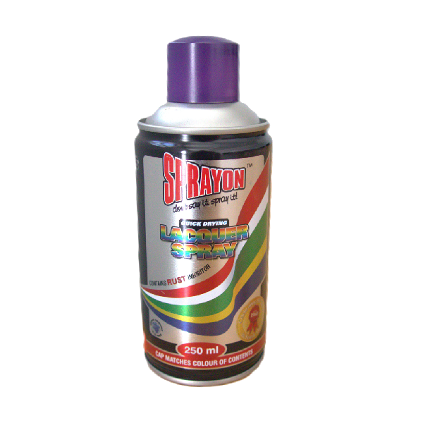 SPRAYON PAINT PURPLE 250ML